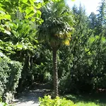 Parravicini
