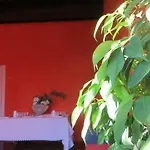 Parravicini