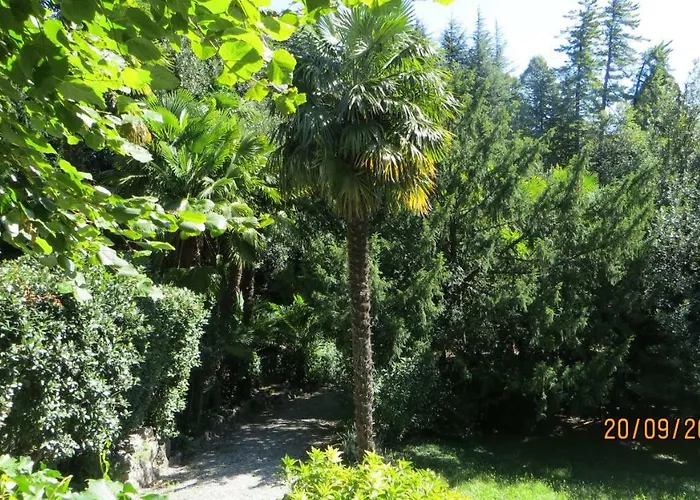 Parravicini